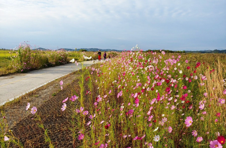 전라북도 김제 청하파크골프장 소개