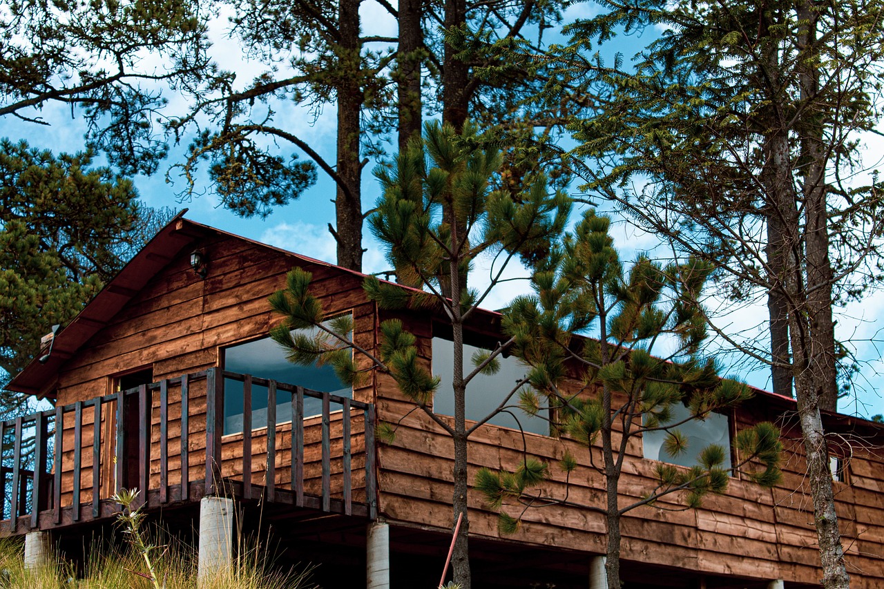 여름 숲캉스 떠나요 (힐링여행, 국립휴양림, 휴식)