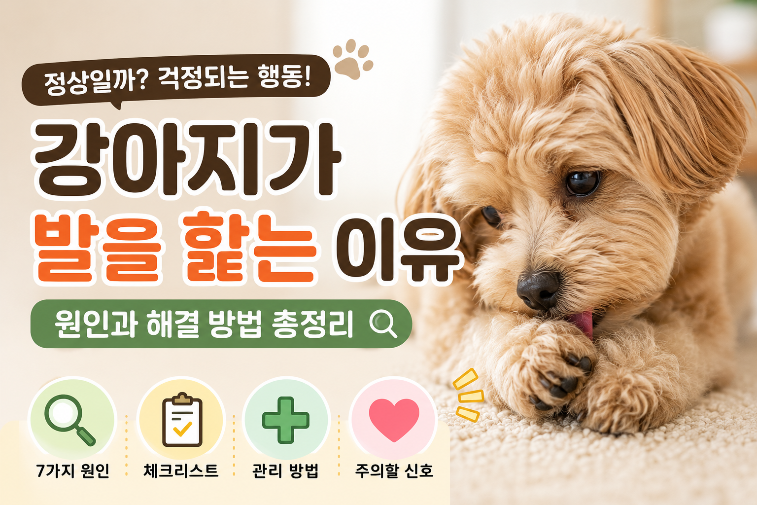 강아지가 발을 핥는 이유