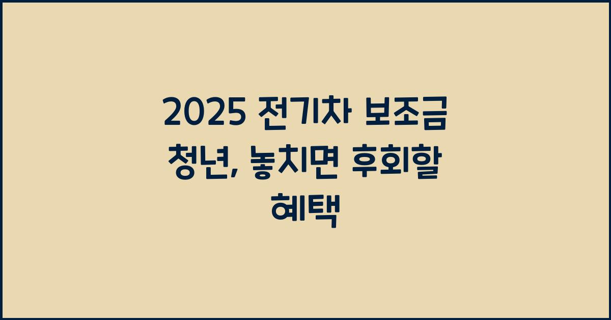 2025 전기차 보조금 청년