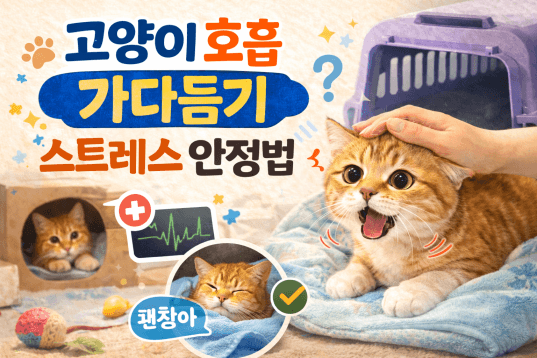 고양이 호흡곤란? 스트레스 호흡 증상과 대처법·응급 신호와 안정 방법