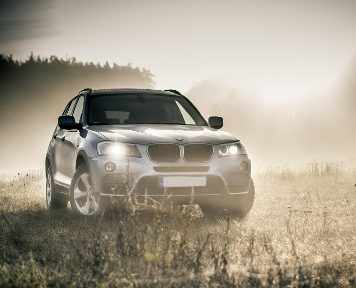 영화 F1 더 무비 관련 사진