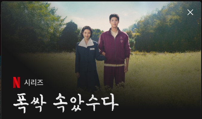 폭싹 속았수다 프로그램 캡쳐 이미지