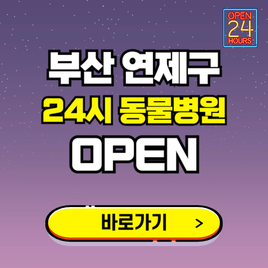 부산 연제구 24시 동물병원 진료하는 곳 ❘ 설날 휴일 야간 심야 문여는곳 찾기 ❘ 응급진료