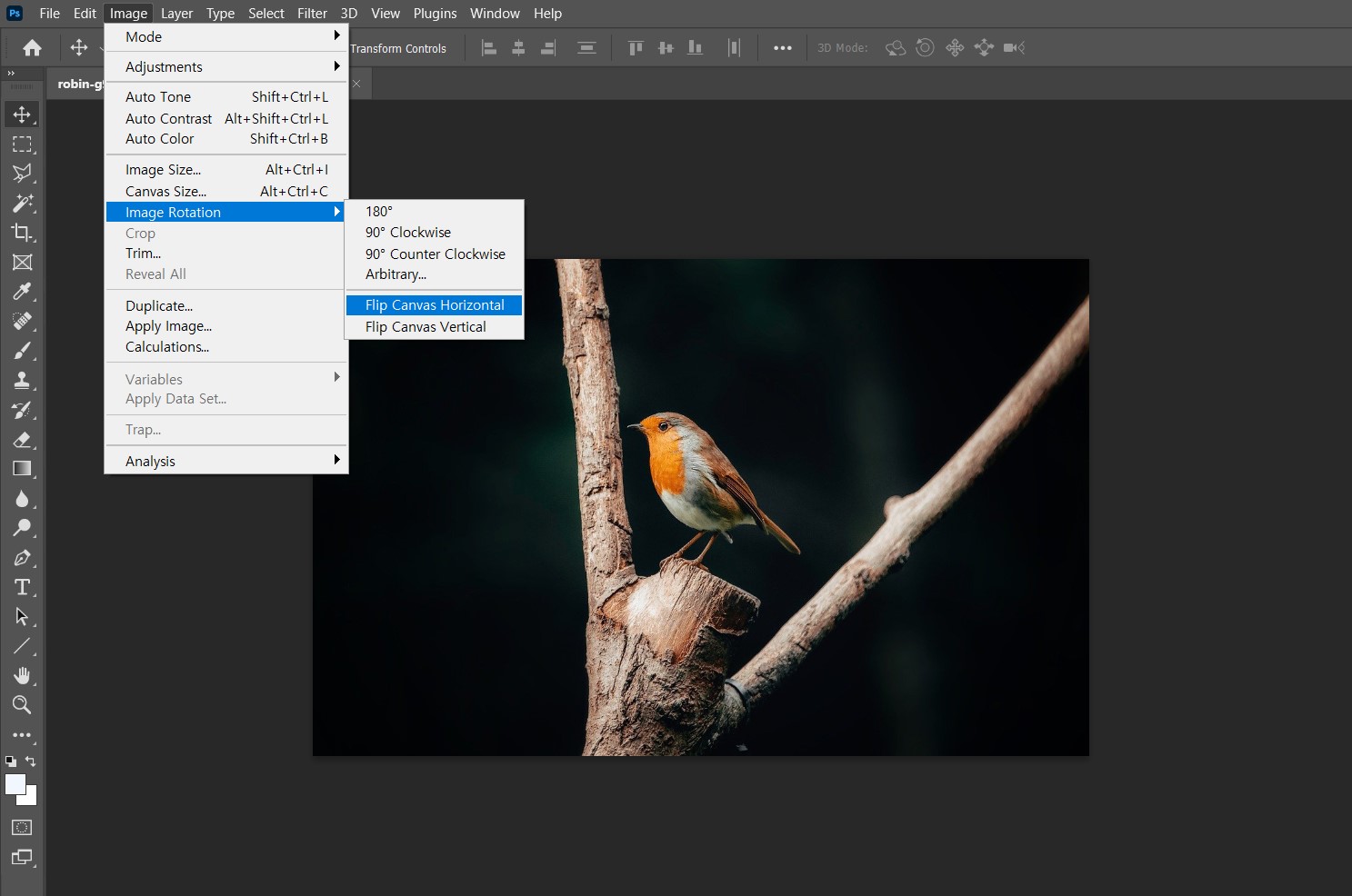 포토샵 Image에서 Image Rotation 그리고 Flip Canvas Horizontal 클릭