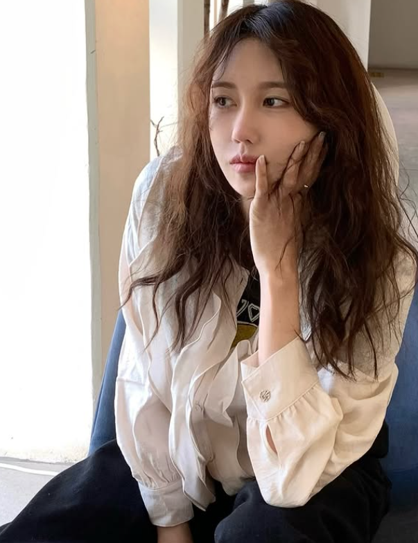 이지아 친일파 후손 논란 총정리|조부 김순흥·350억 땅·사과문까지