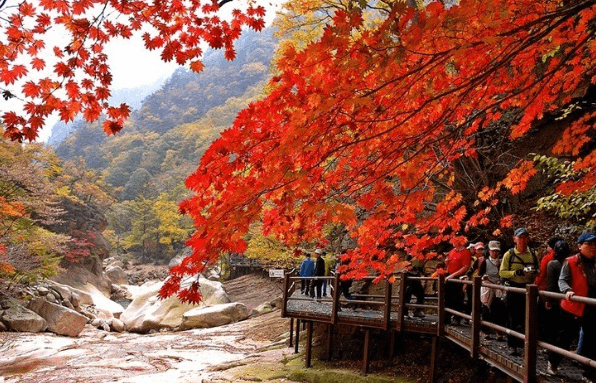 단풍구경-가볼만한-곳-설악산