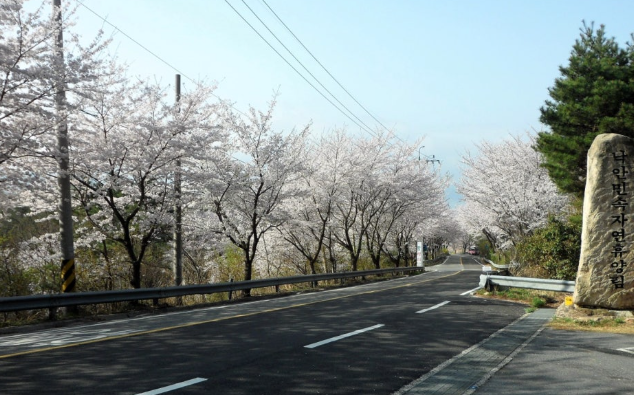 국립자연휴양림