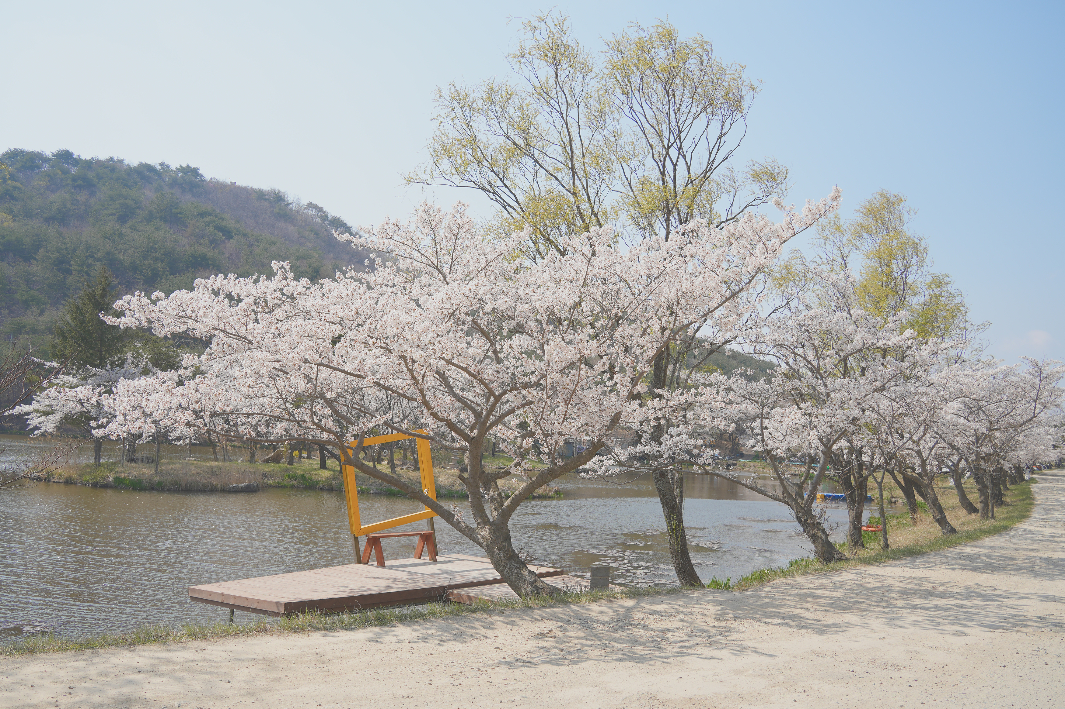 경주 화랑의 언덕 관련사진 1