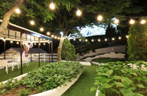 청도 프로방스 푸드 zone 프로방스 카페 모습