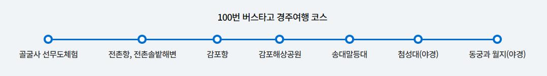 경주100번 버스노선