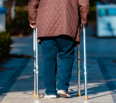 콘드로이친 효능 복용법 시간 부작용