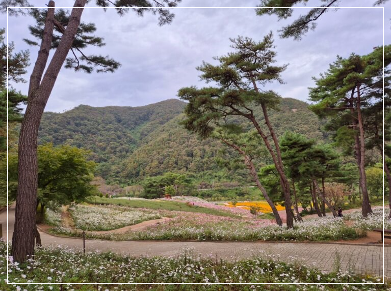 전주 가볼만한곳 베스트10 전주향교