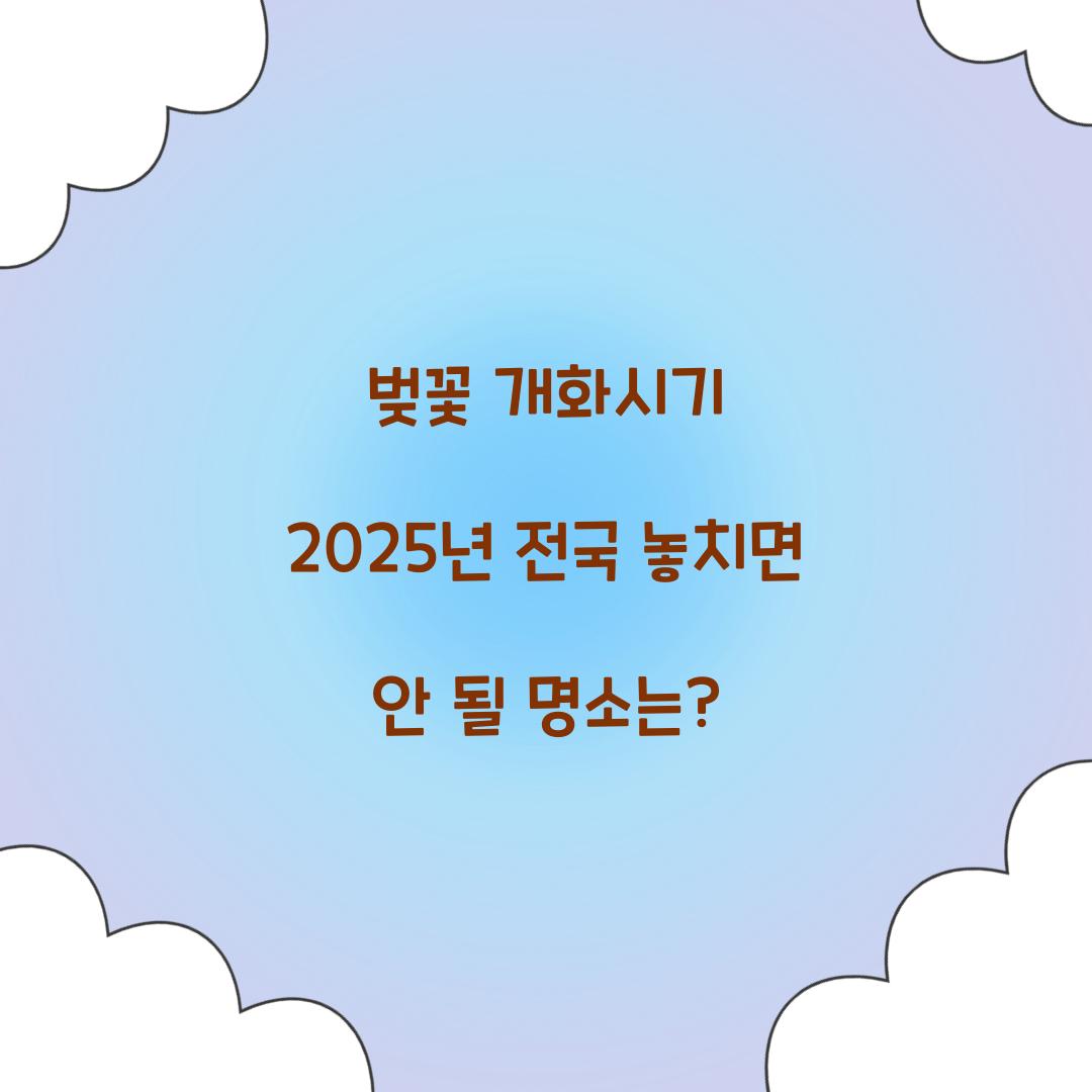 벚꽃 개화시기 2025년 전국