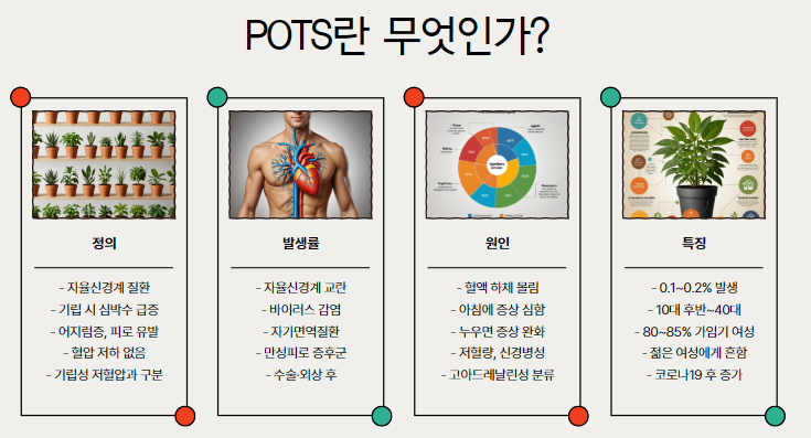 POTS란 무엇인가?