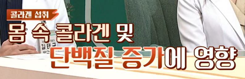 콜라겐과 엘라스틴이 중요한 이유