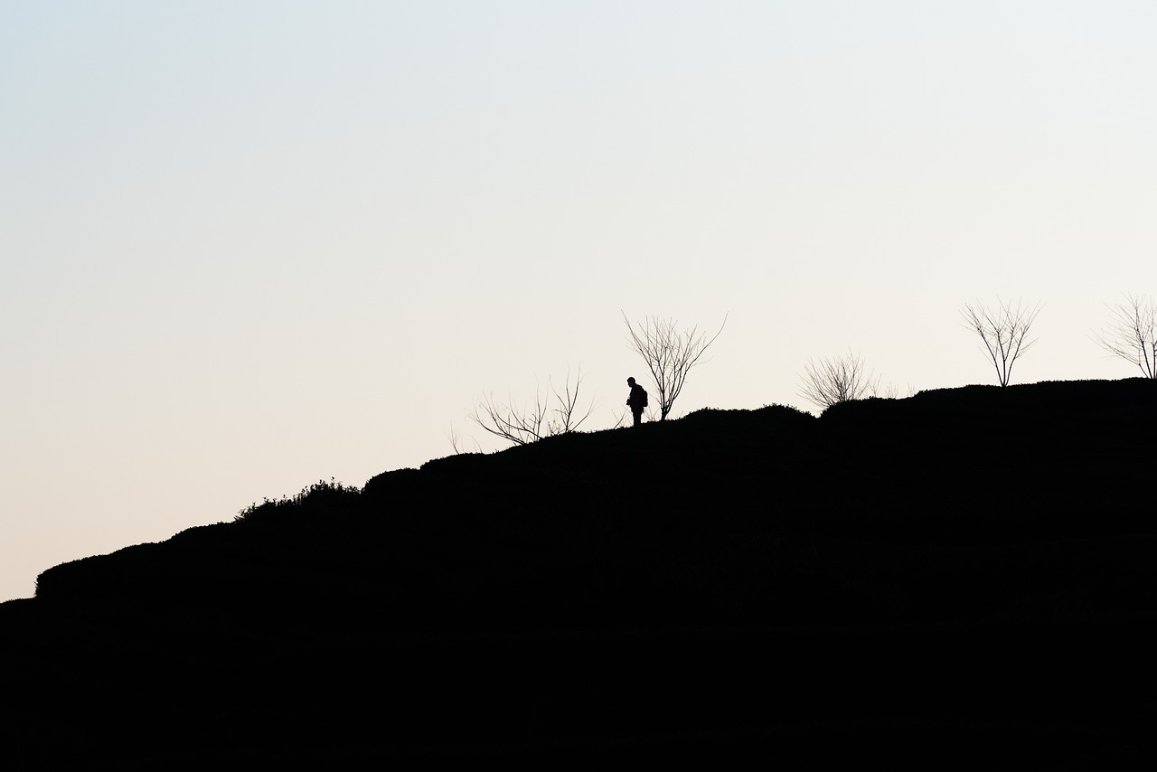 ② 독신세 찬반 토론 - 찬성 주장