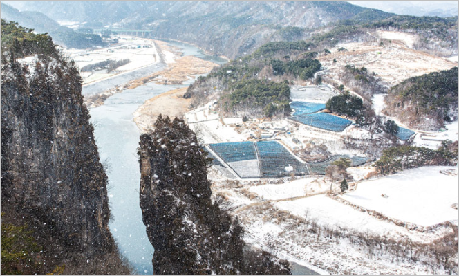 영월 단종문화제 동행 축제 혜택 총정리&amp;#44; 안 가면 무조건 손해!(feat. 왕과사는 남자)