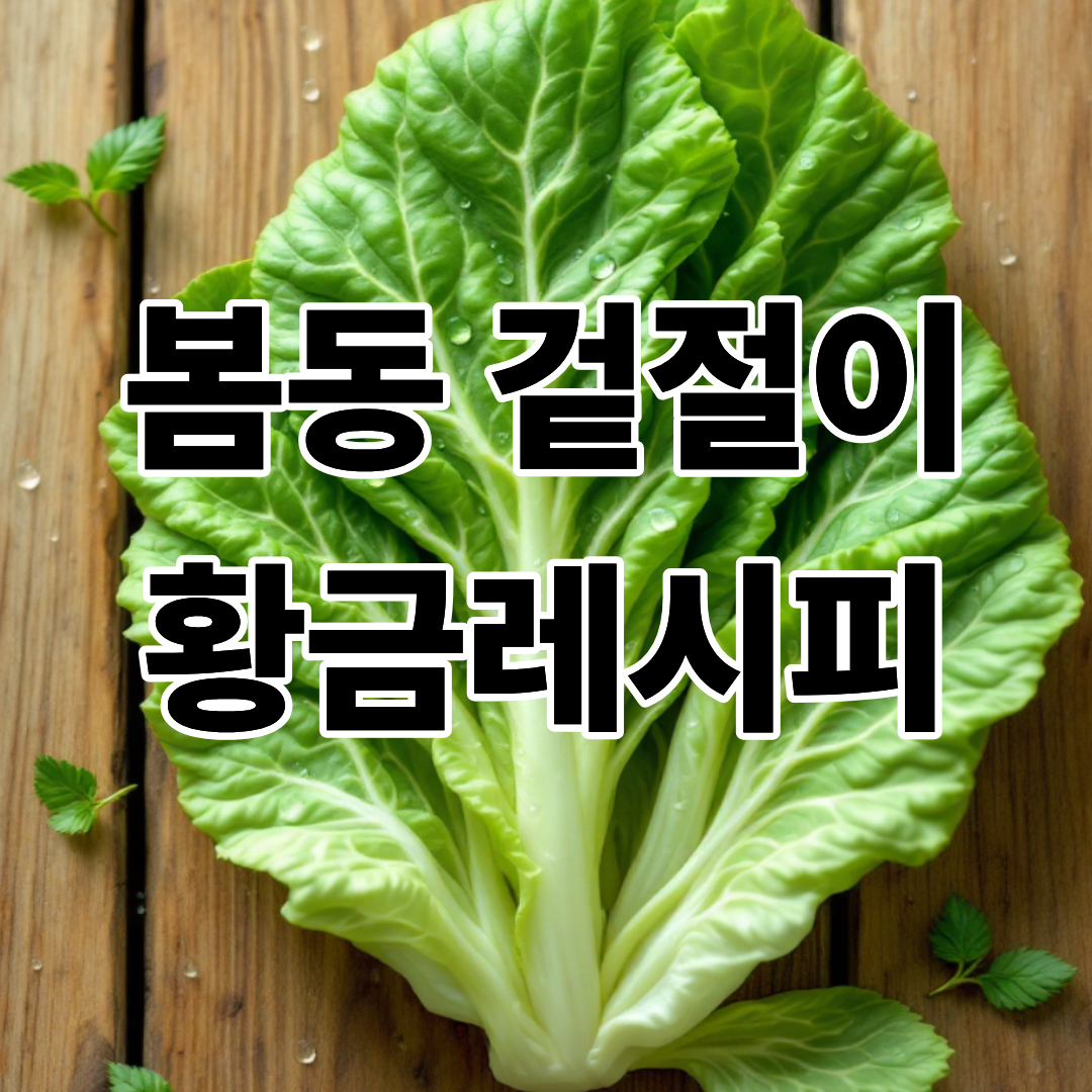 봄동 겉절이 황금레시피