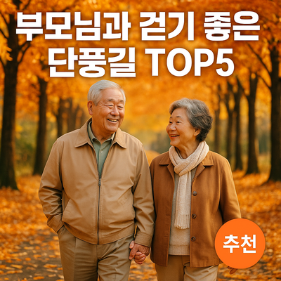 🍁부모님과 함께 걷기 좋은 단풍길 TOP5🍁