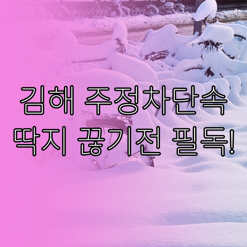 김해시 주정차단속알림 서비스 등록 방..