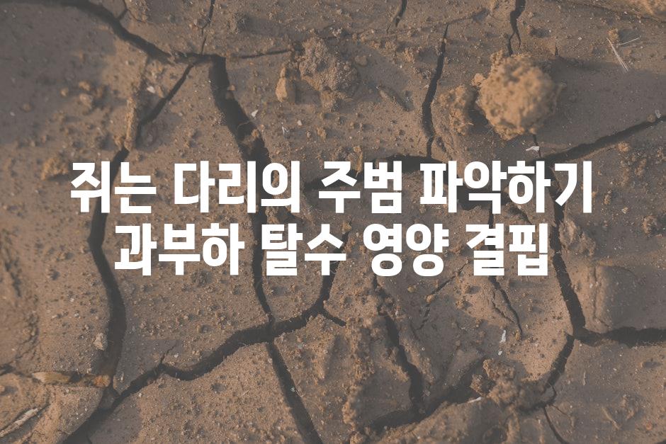 쥐는 다리의 주범 파악하기 과부하 탈수 영양 결핍