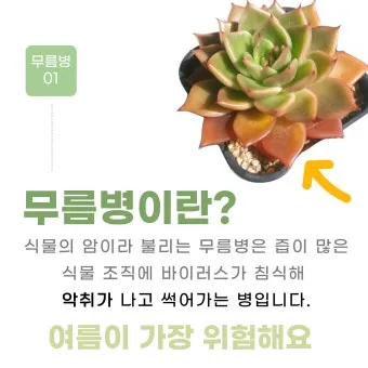 "장마철