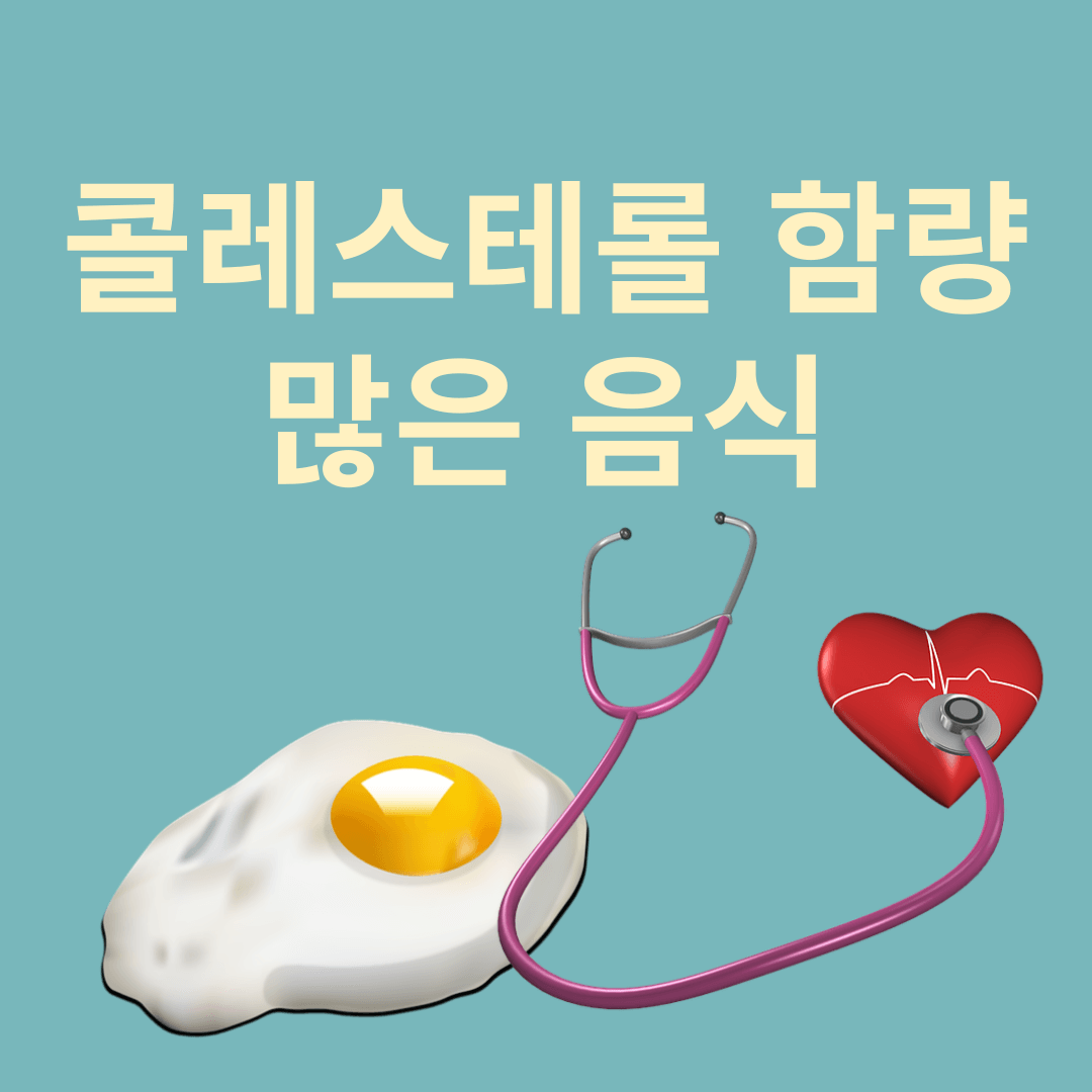 콜레스테롤