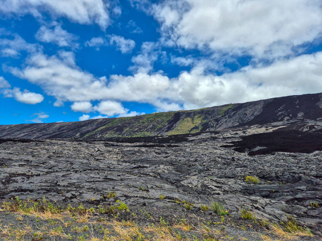 홀레이 시 아치 드라이브