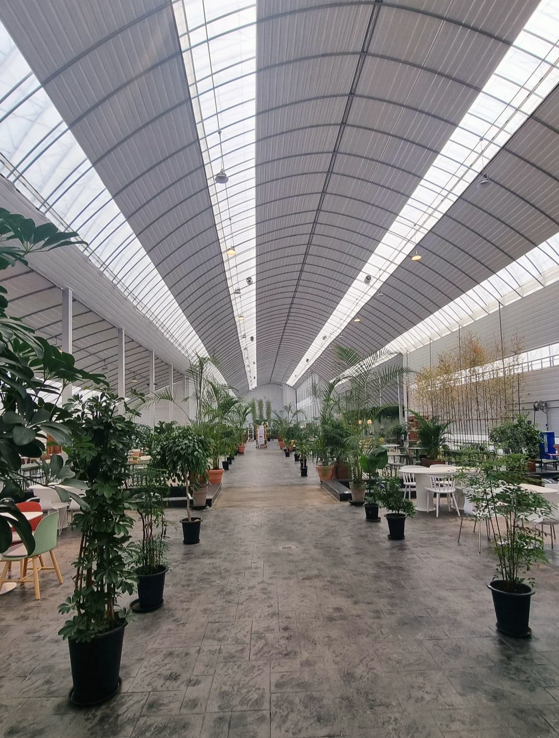 어반리프 온실화원 내부 전체