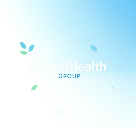유나이티드헬스그림