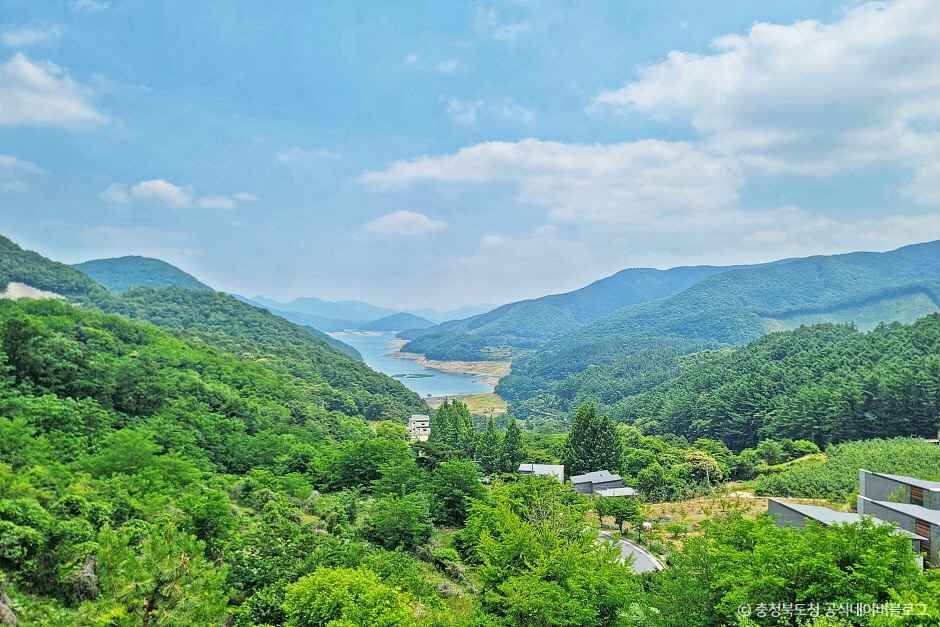 충주 가볼만한곳 베스트10