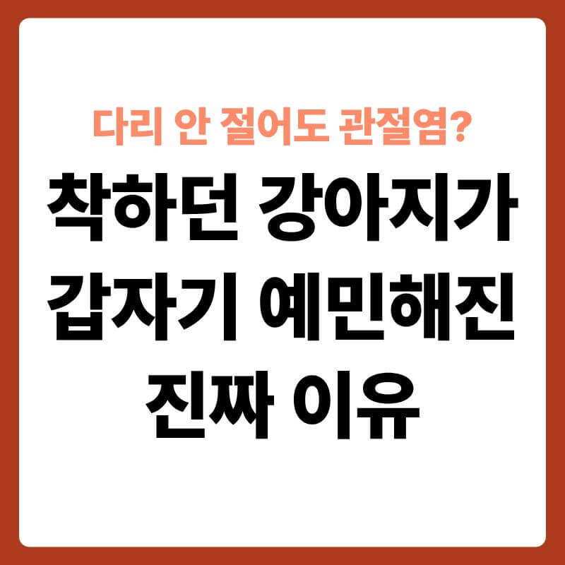 거실 구석에 슬픈 표정으로 엎드려 있는 나이 든 리트리버 강아지의 모습, 배경은 약간 어둡고 따뜻한 조명이 비추며 강아지의 관절 부위(뒷다리 고관절) 쪽에 은은한 붉은색 하이라이트 효과가 들어가 통증을 시각적으로 표현한 사진형 이미지