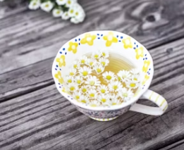 임신 극초기 증상 완벽 이해