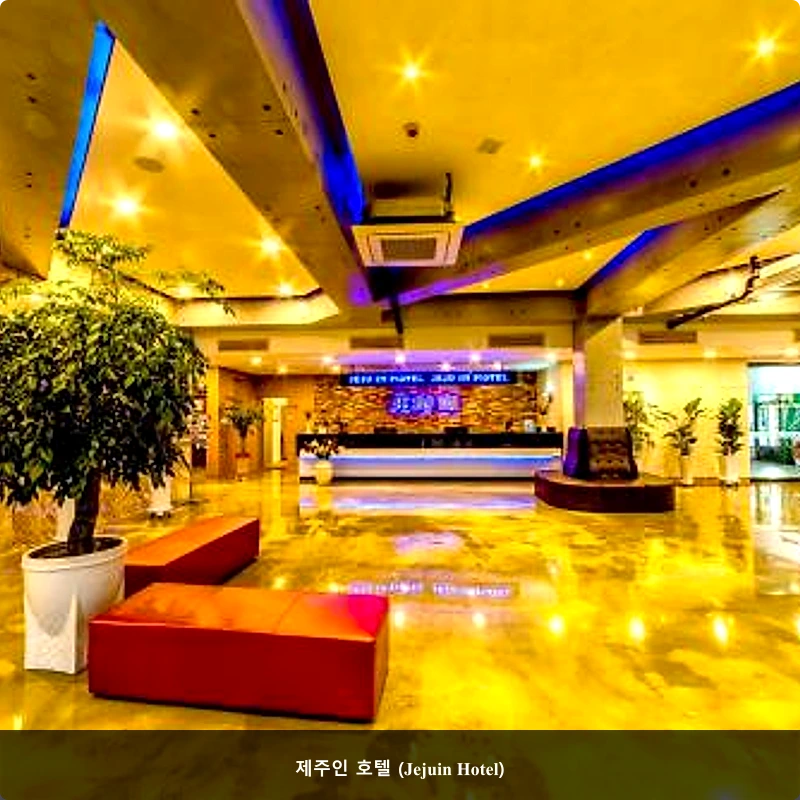 제주인 호텔 (Jejuin Hotel)_3