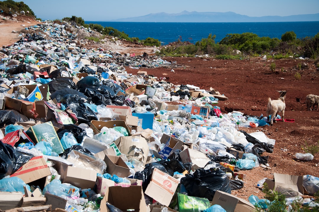 Electronic waste