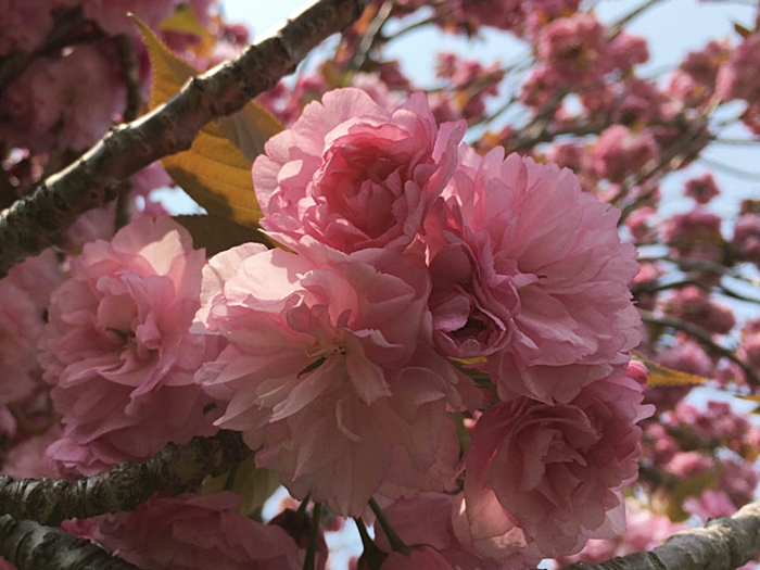 부산 유엔공원