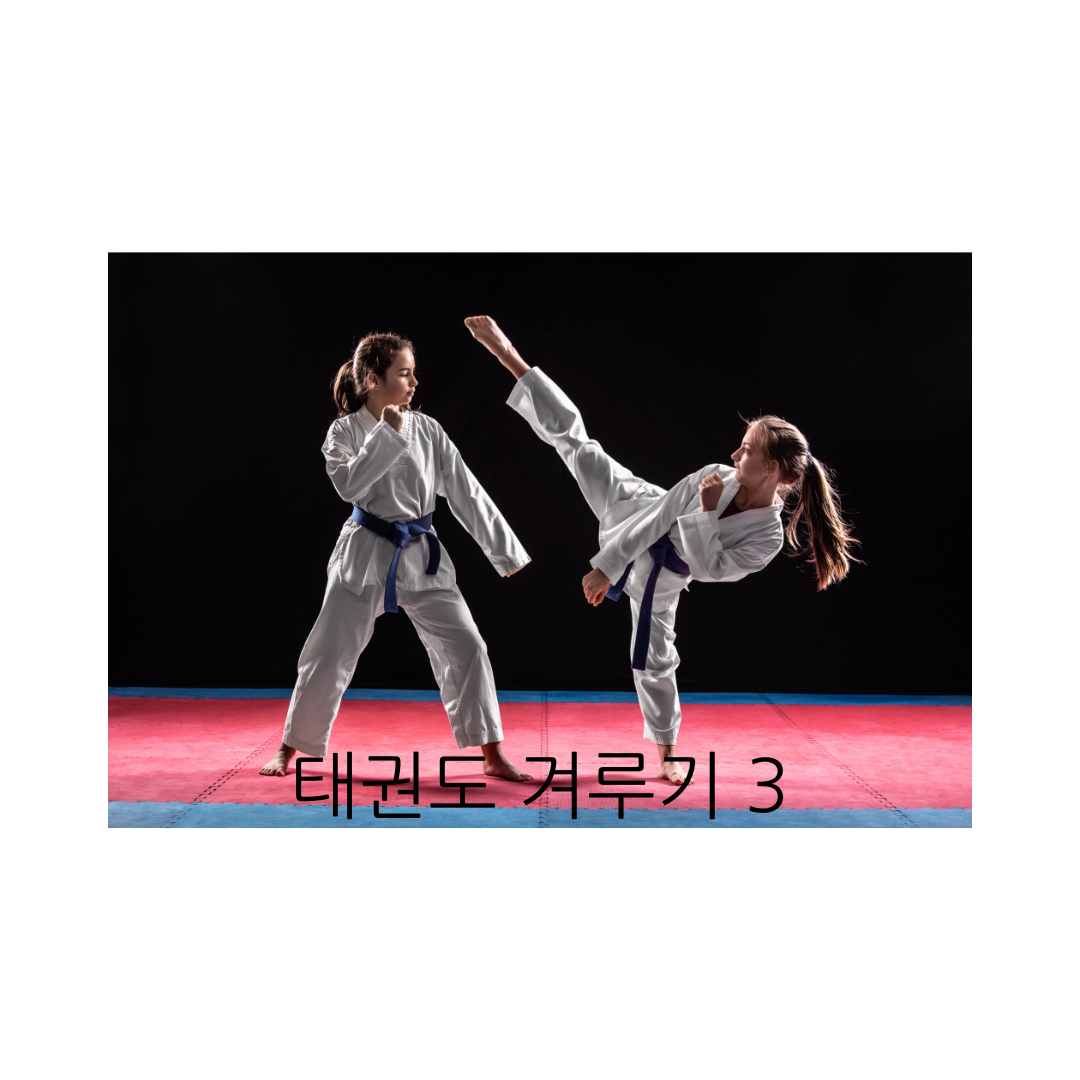 태권도 겨루기 3