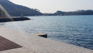 부산 차박하기 좋은 성지 TOP 5곳