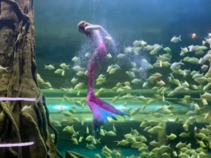 대전아쿠아리움