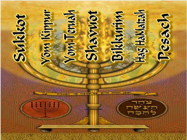 절기를 담은 메노라 사진