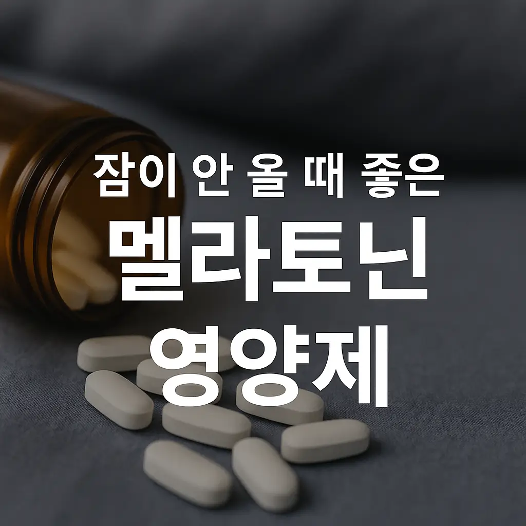 멜라토닌 효능 및 영양제 추천
