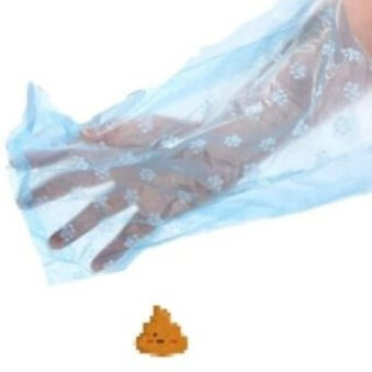 개똥을-손에-비닐을-끼우고-치우려는-모습