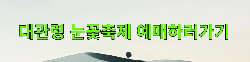 대관령눈꽃축제