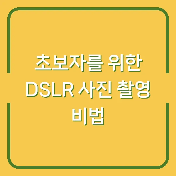 초보자를 위한 DSLR 사진 촬영 비법