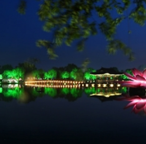 부여 연꽃축제 전경3