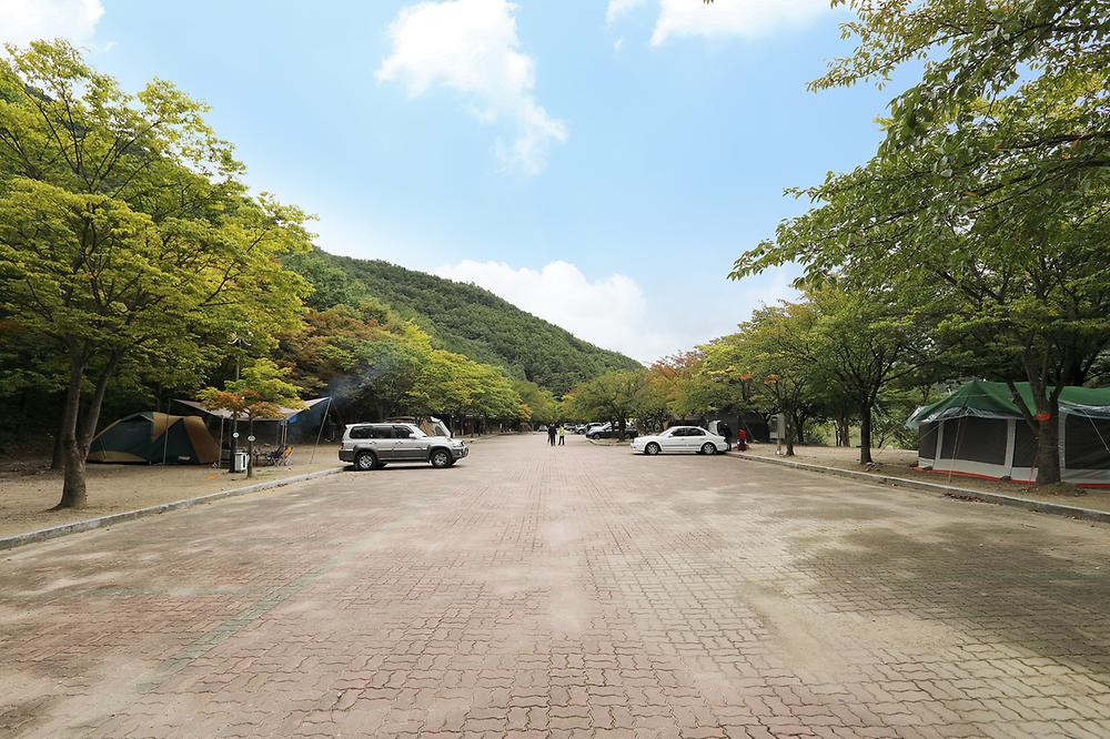 경상북도 운문산국립공원 소머리 야영장 소개