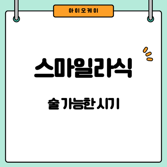 스마일라식술