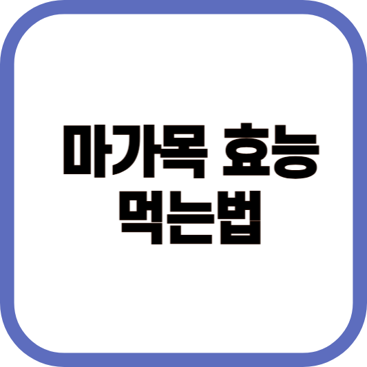 마가목 효능 먹는법 이미지