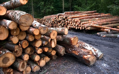 국립자연휴양림-예약방법-성수기